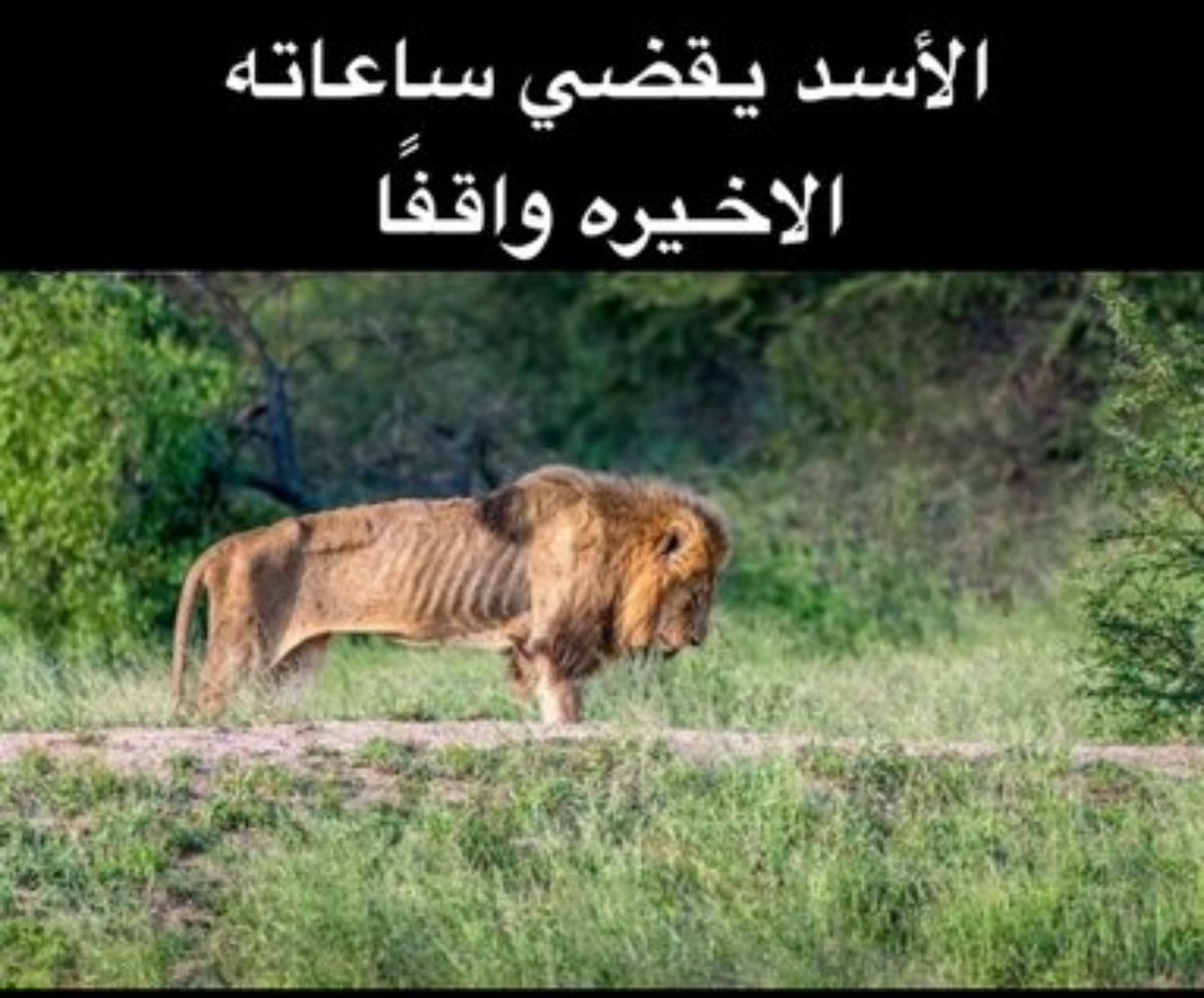 labmed41memes's tweet photo. https://t.co/KsUG1Mmr8Q