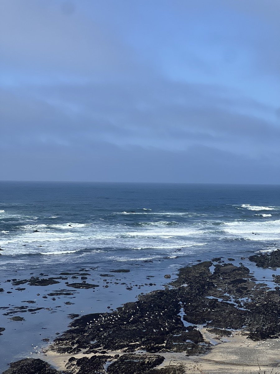 Distingwishman's tweet photo. Half Moon Bay https://t.co/9R8hBQ0iSJ