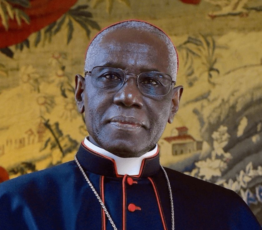 IanJaeger29's tweet image. Cardinal Robert Sarah:

“Those who use the Bible to justify mass immigration are bewitched.”

This man is likely to be the next Pope.