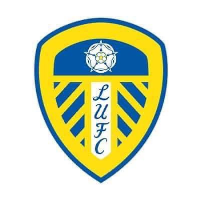 eurofootcom's tweet image. 🚨🏴󠁧󠁢󠁥󠁮󠁧󠁿 𝐎𝐅𝐅𝐈𝐂𝐈𝐀𝐋 | Leeds United have been PROMOTED to the Premier League! ✅

Congratulations to Daniel Farke and his team.
