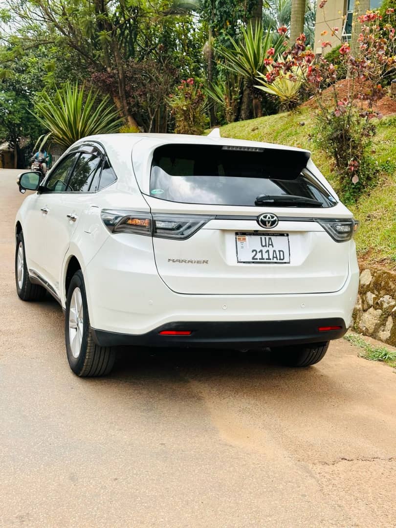 NiwaRodgers's tweet image. I sell both new and used cars
0703390138