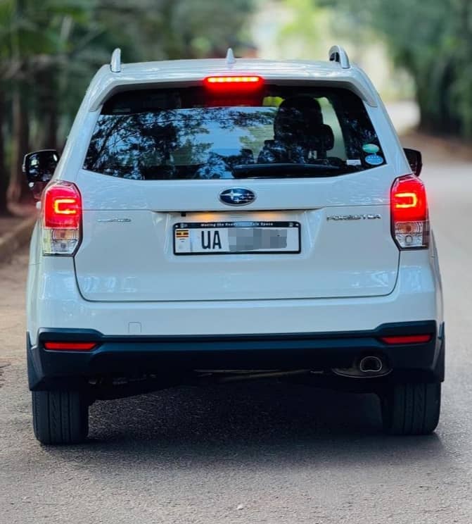 NiwaRodgers's tweet image. I sell both new and used cars
0703390138