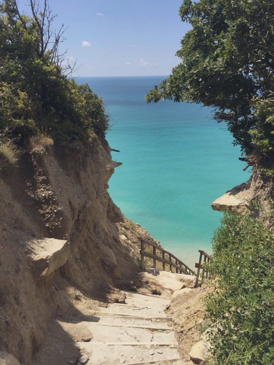 DOĞA HABER - NATURE NEWS. (@doga_h2024) on Twitter photo 