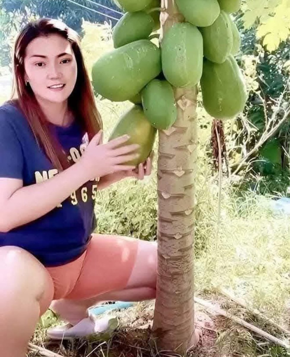 Oceanbreeze473's tweet photo. What kind of fruit is that?😗 https://t.co/c3DkMSVNDi