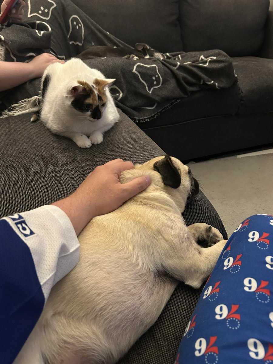 capt_pudge's tweet photo. @kucnjnj Fuck landlords also this pug and suspicious cst might help https://t.co/qGya5PreST