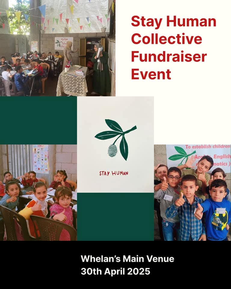 Novatone tweet media