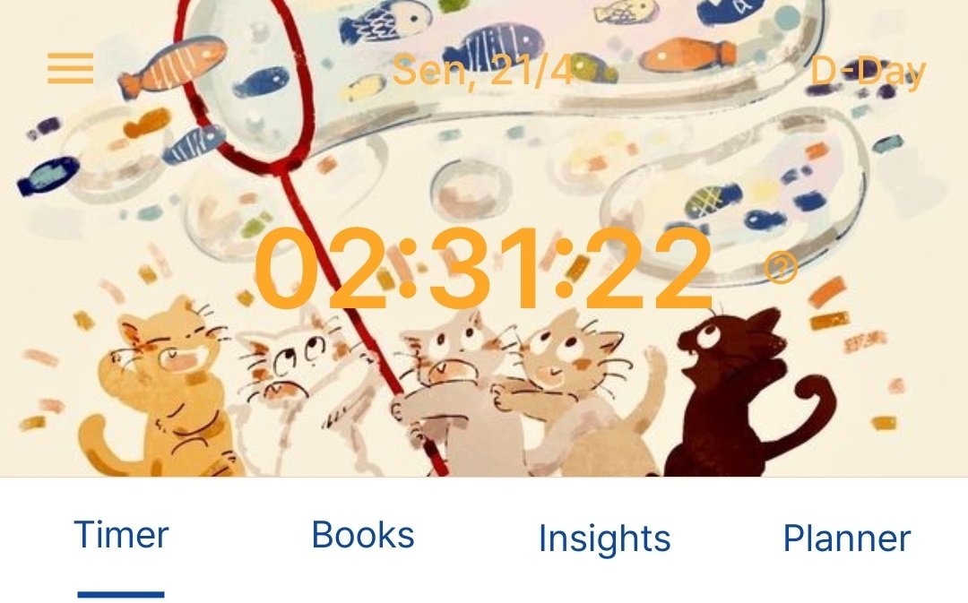 hana 𔘓 tweet media