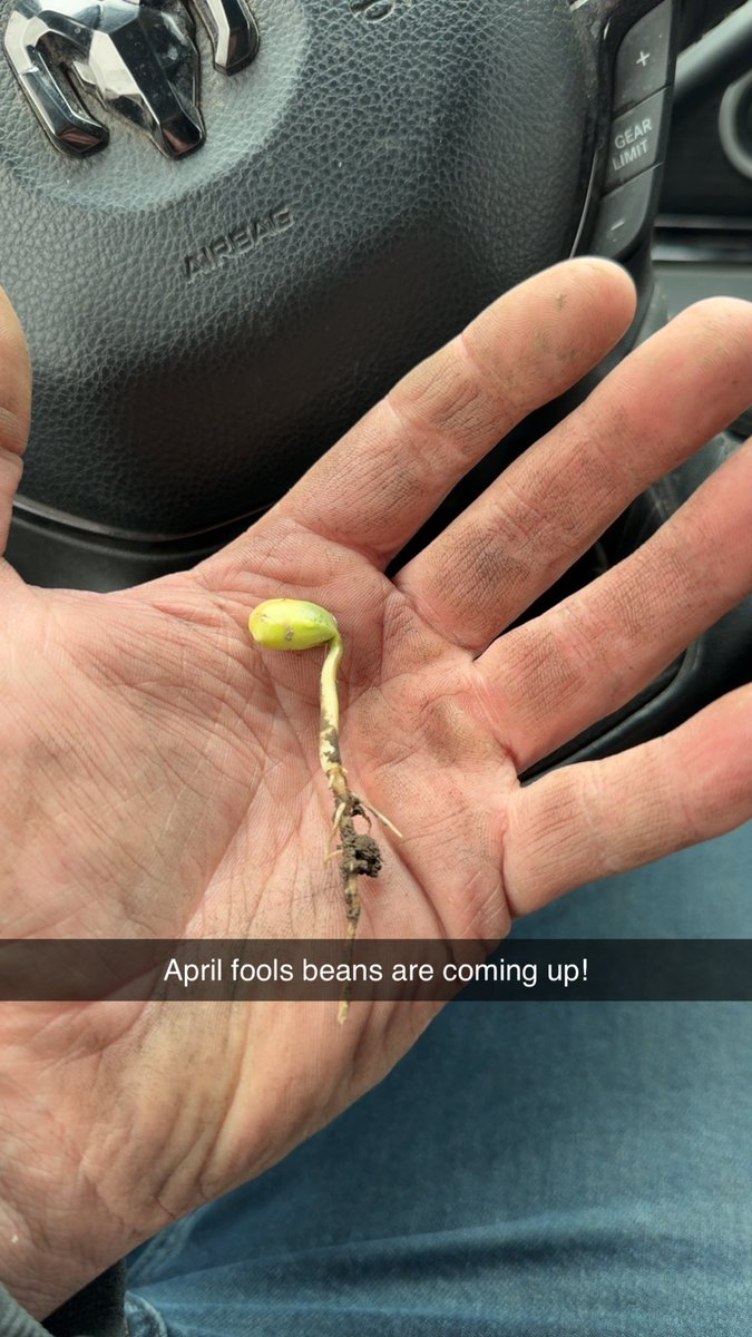 Jacob Wade (@agvantageseeds) on Twitter photo 