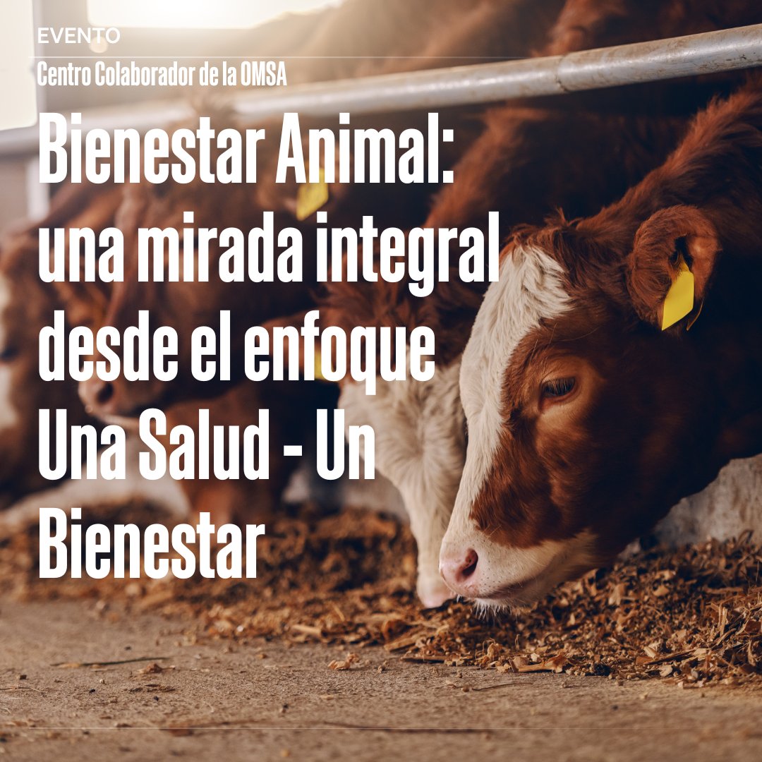 Organización Mundial de Sanidad Animal - Americas tweet media