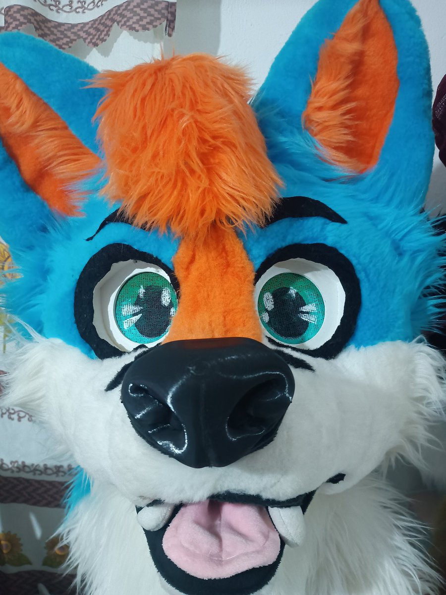 AleWolferFox's tweet photo. UwU https://t.co/mmXJzcUmmf
