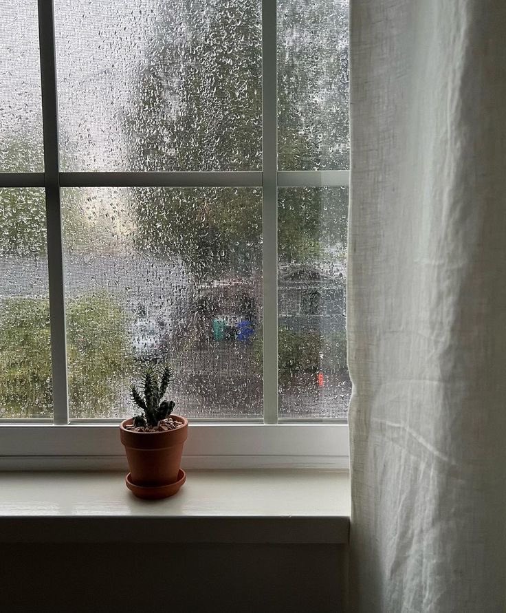 Dias de chuva para muitos é comparado com a melancolia, para outros é o sentimento de sentar e conectasse com si mesmo