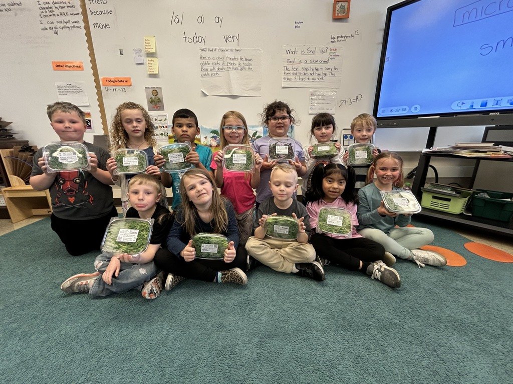 ClaypoolKnights's tweet photo. First grade sampled three types of microgreens. Each students took home a pack of their favorite variety.
#WarsawInspires https://t.co/OSHcUISEzE