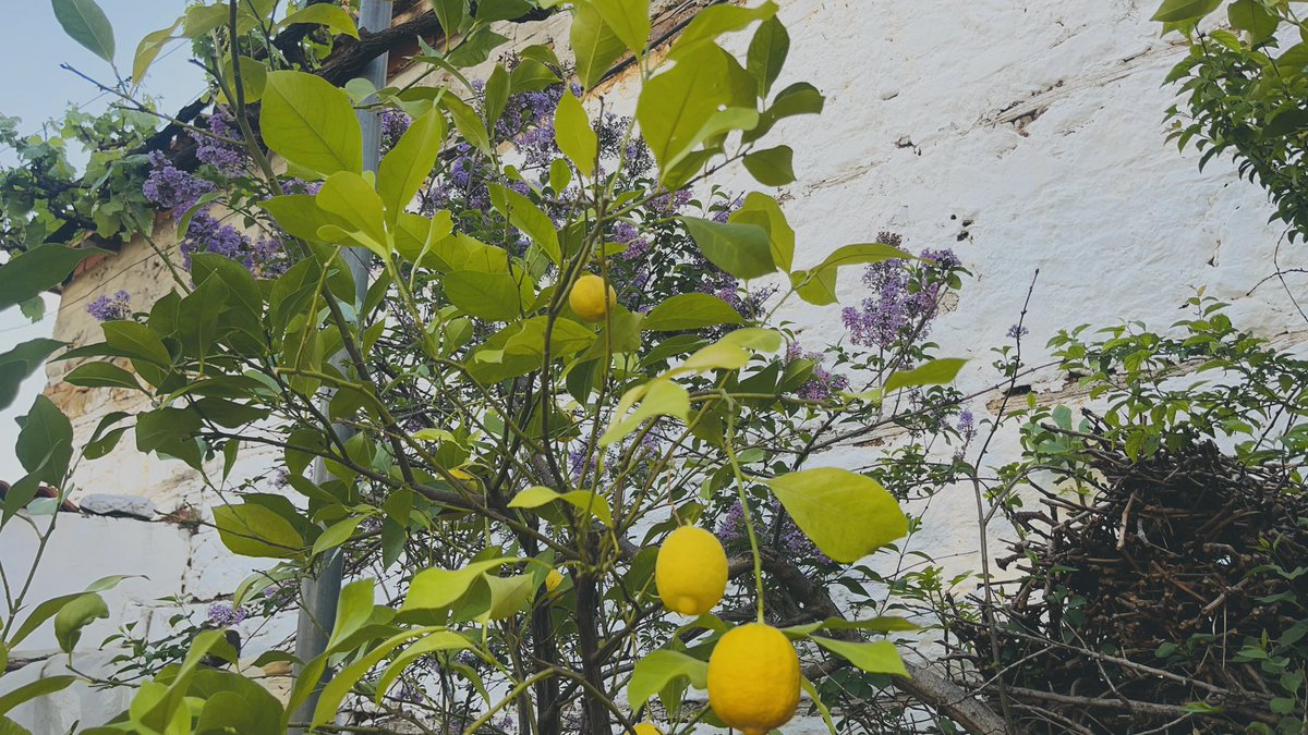 Eysh1a's tweet photo. k ö y . . . 🍇 https://t.co/W4aPNVgq2X