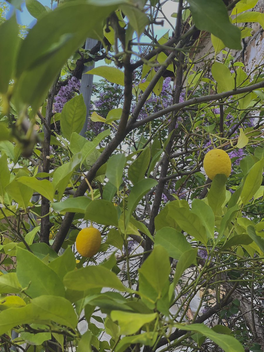 Eysh1a's tweet photo. k ö y . . . 🍇 https://t.co/W4aPNVgq2X