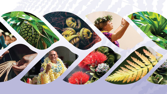University of Hawaii System (@uhawaiinews) on Twitter photo 🗓️ <a href="/UHHilo/">University of Hawaii at Hilo</a> celebrates the 2025 Merrie Monarch Festival with a week of cultural events starting April 22, uniting students, faculty, and community to honor hula’s legacy and creativity ➡️ bit.ly/43QsJiq 🗓️ <a href="/UHHilo/">University of Hawaii at Hilo</a> celebrates the 2025 Merrie Monarch Festival with a week of cultural events starting April 22, uniting students, faculty, and community to honor hula’s legacy and creativity ➡️ bit.ly/43QsJiq