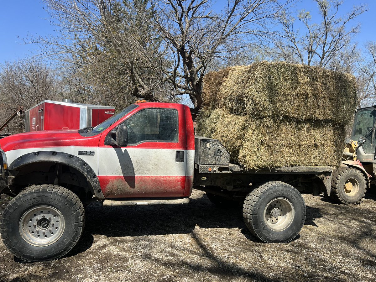 Bryce Ring tweet media