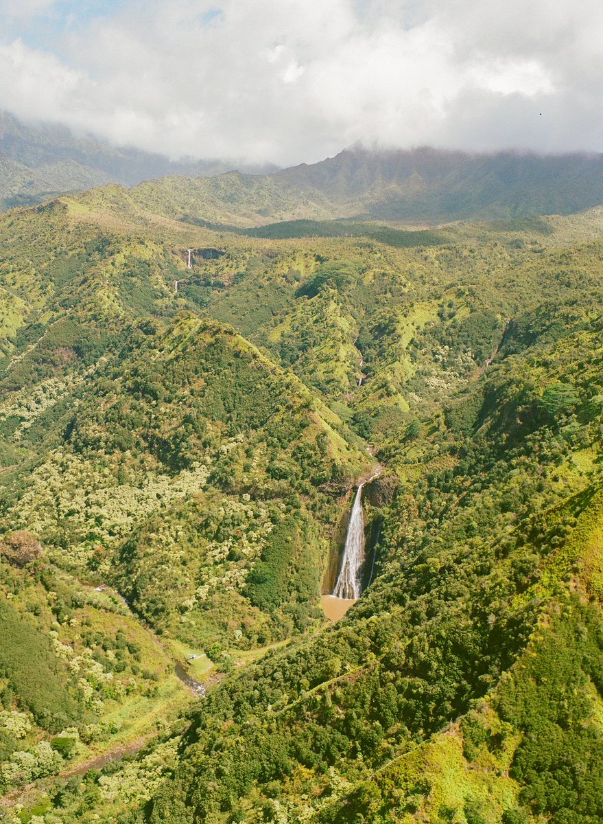GoodGuyCrabs's tweet photo. Helicopter tour over Kauai - Waimea Canyon
🎞️ Portra 400
#filmphotography https://t.co/ToeLJQy7yL