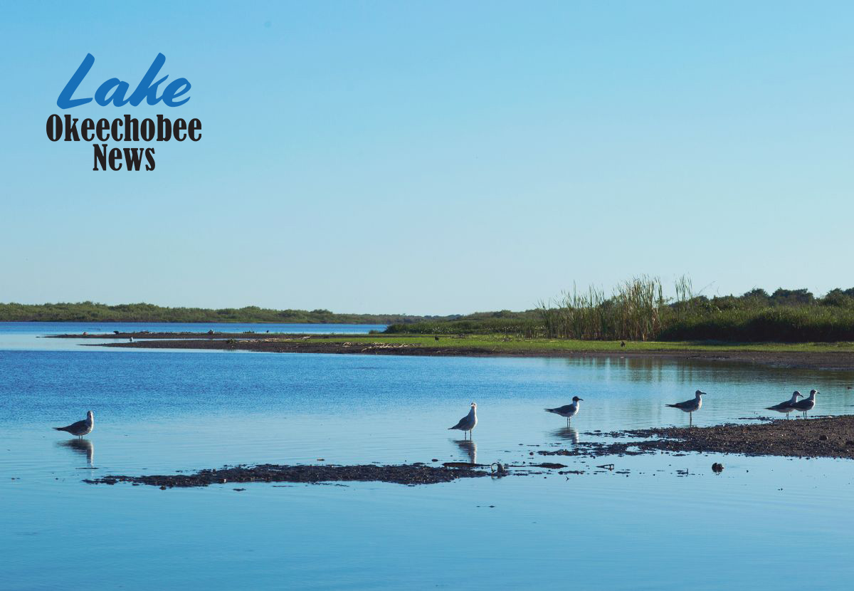 In this week's newsletter: Lake Okeechobee water level hits 12 feet; Food truck issue back on Okeechobee City Council agenda; and more- mailchi.mp/d2f13118021f/n…