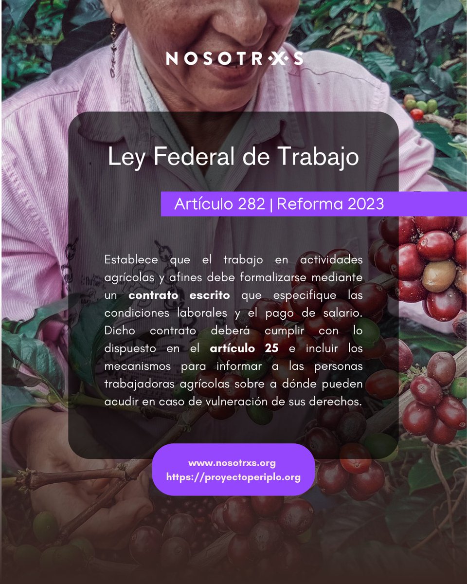 Nosotrxs tweet media