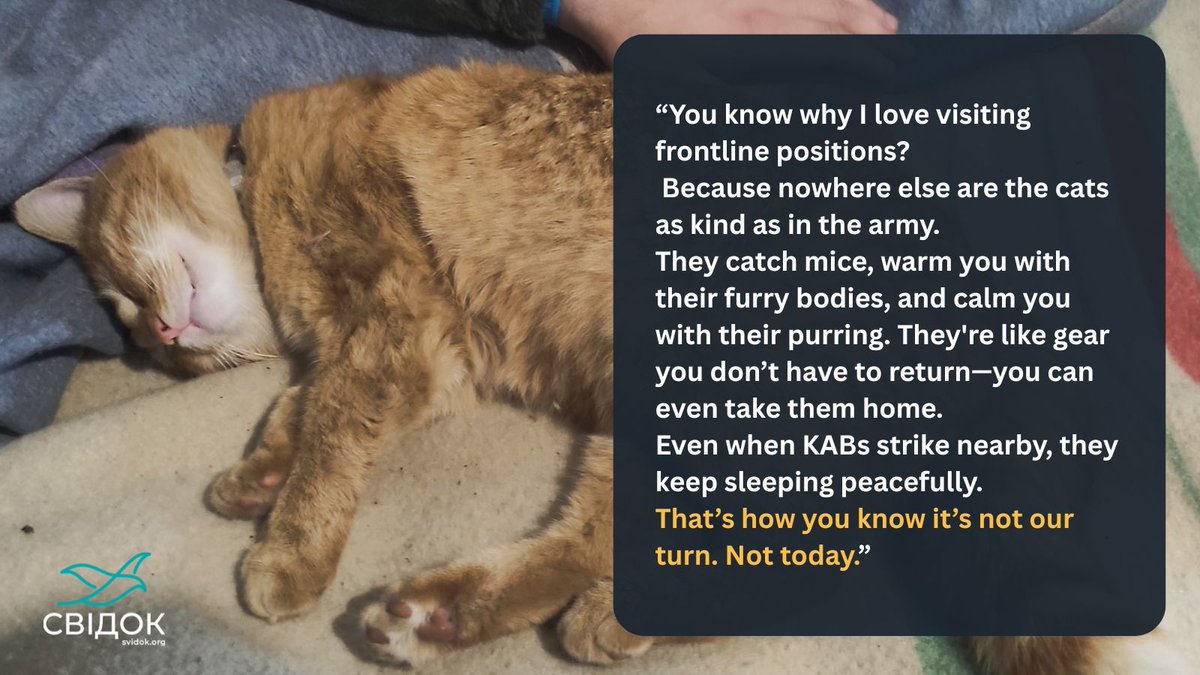 At a frontline position in Donbas, a reporter shared why army cats mean so much. In the trenches, they catch mice, offer warmth, and bring calm. Even during airstrikes, they sleep peacefully—small symbols of resilience amid chaos. #Ukraine
Read more: svidok.org/notes/nide-nem…