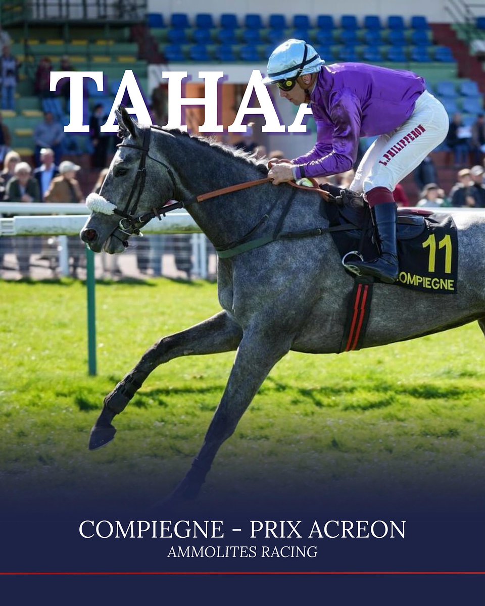 NathanVergne🇫🇷📯 tweet media