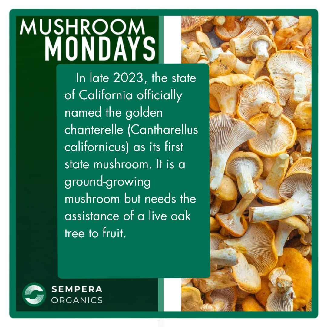 Sempera Organics tweet media