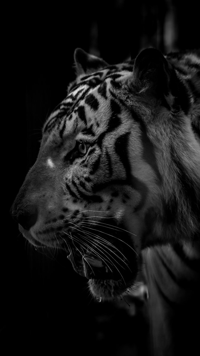 Earth (@earthcurated) on Twitter photo 