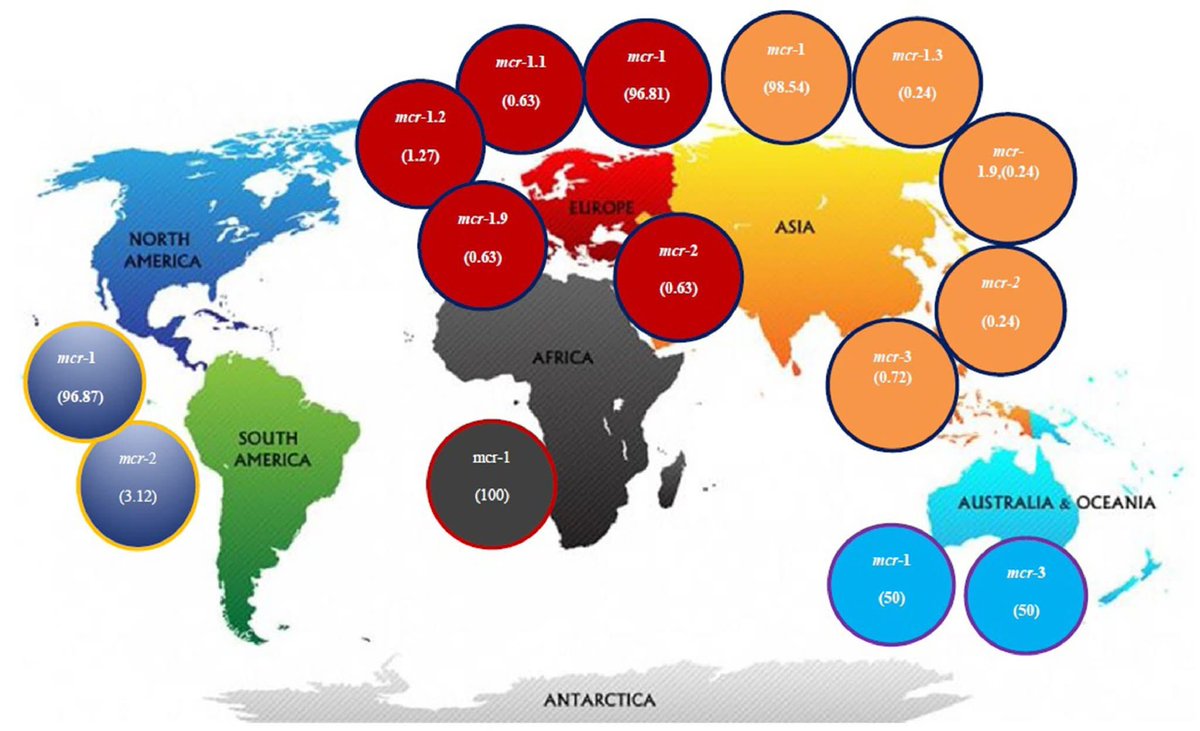 JGAR_ISAC (@jgar_isac) on Twitter photo 🚨Top cited article: "Global prevalence and molecular epidemiology of mcr-mediated colistin resistance in Escherichia coli clinical isolates: a systematic review"
Read online at : bit.ly/4jdClZv
<a href="/ISAC_world/">International Society of Antimicrobial Chemotherap</a> 🚨Top cited article: "Global prevalence and molecular epidemiology of mcr-mediated colistin resistance in Escherichia coli clinical isolates: a systematic review"
Read online at : bit.ly/4jdClZv
<a href="/ISAC_world/">International Society of Antimicrobial Chemotherap</a>