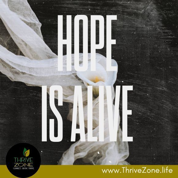 thethrivezone_'s tweet photo. And anyone who is in Jesus is alive too! The old has passed, and the new has come!
Hope lives through Christ's death and resurrection. 

🌱 #MondayMotivation #ThriveZonePrayerHUB #Prayer #PrayerHUB #TheThriveZone #ThriveZone #ThriveZoneChurchPrayerHUB #ThriveZoneChurch https://t.co/3R6cOTyZz3