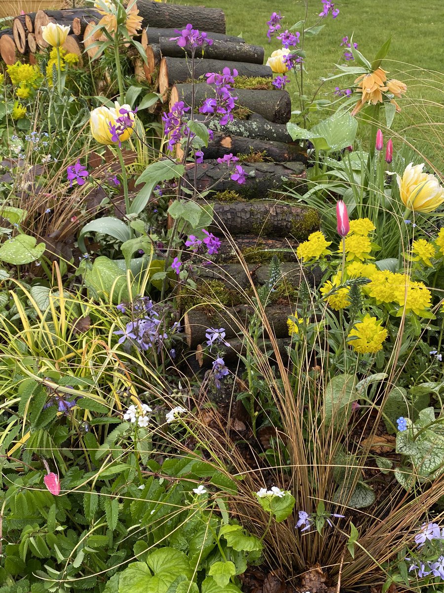 It’s the Harrogate Flower Show from Thursday to Sunday this week and Craven College horticulture students have created two raised borders in the design competition. To celebrate the bicentenary of <a href="/cravencollege/">Craven College</a> the borders reflect styles over the last 200 years. <a href="/HarrogateFlower/">HarrogateFlowerShow</a>