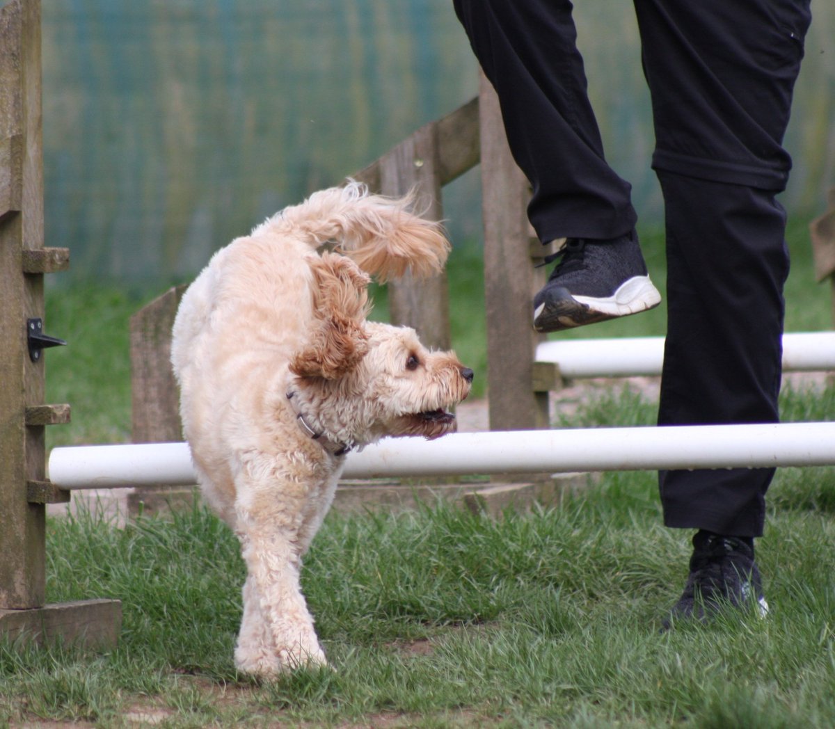 Perfect way to spend a day off 🥰