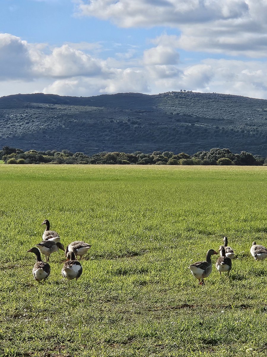 ECiclistaGuadia's tweet photo. La primavera eclosiona en el embalse del Vicario que está casi lleno. Estos dos próximos meses es el mejor momento, con el otoño, para darse una vuelta por aquí . https://t.co/uG3MTDvtr6