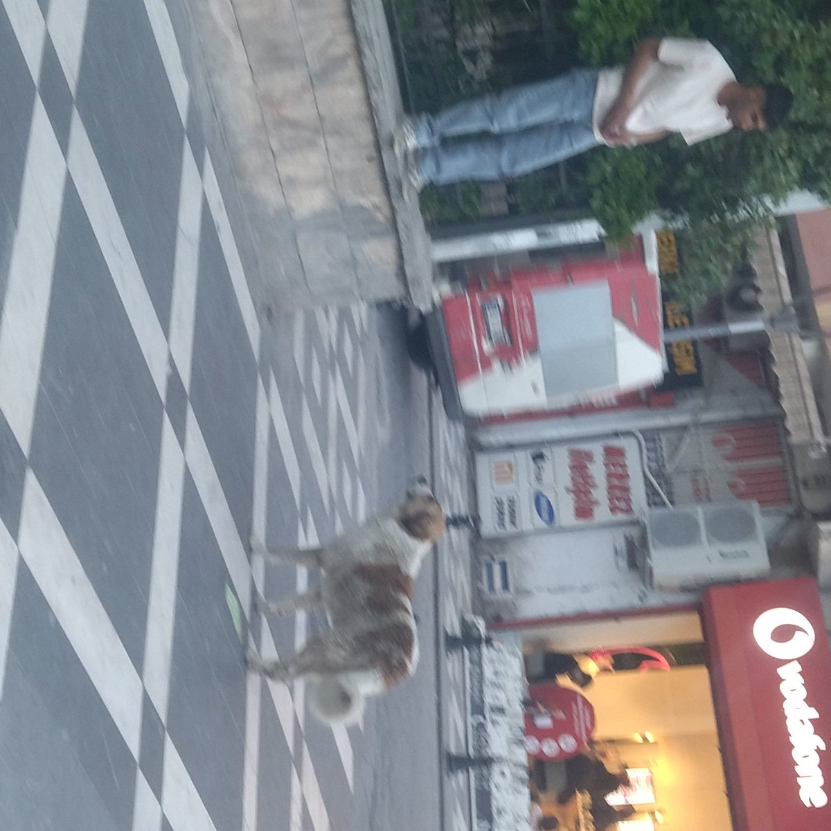 Bugün 
Üzerine Gelen Köpekten Kaçan  Genç Duvara Çıktı , Aşağı İnemedi !    

Mehmet Kasım Gülpınar  
#Şanlıurfa'da  #KöpekTerörü