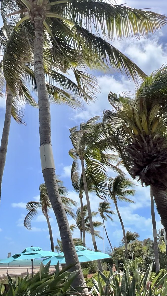 L0uis3B's tweet image. #keyslife #stressfree
Hyatt Vacation Club…