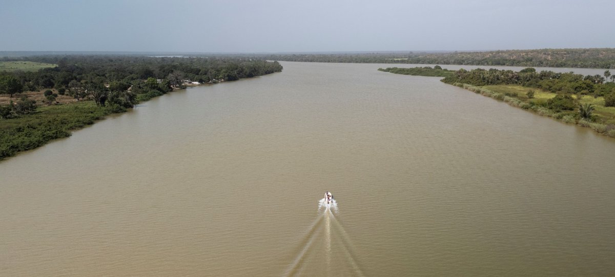 #Gambia protects and restores 340 square km of rivers, coasts and forests, a powerful example of how national action, driven by community leadership and innovative policies, can preserve biodiversity and create a better future for people.

rfr.bz/t924f74