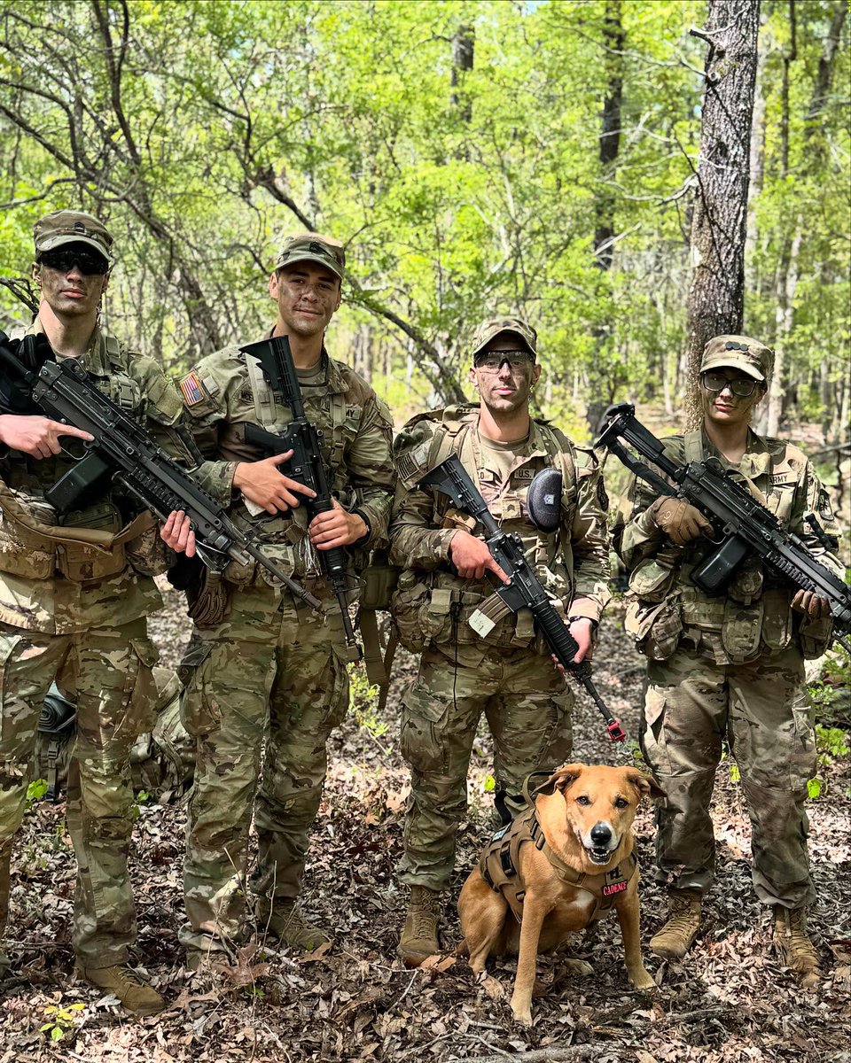 JoinArmyROTC's tweet image. These cadets are pushing their limits during their Spring FTXs. 💪
Field Training Exercises (FTXs) offer cadets practical experience in leadership, teamwork, and tactical skills that are difficult to achieve in a classroom. 
#SpringFTX #armyROTC #Training #LeadershipExcellence