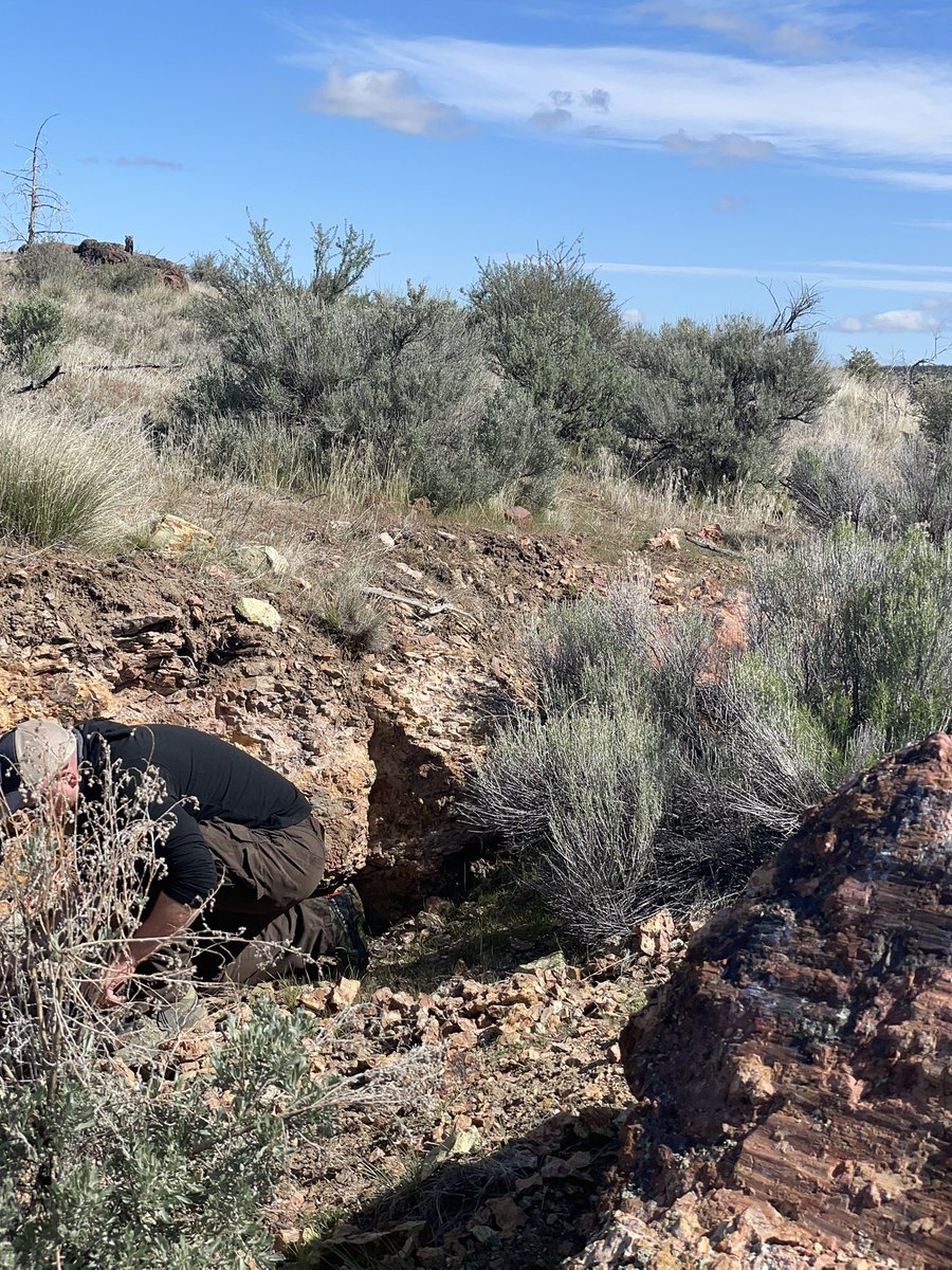 I think “3 Sisters is here in this central Oregon photo this morning. Not sure of the others. Photo from Madrid area.