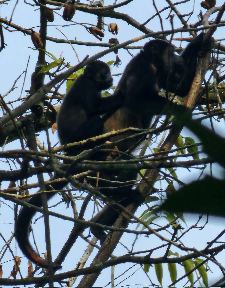 Jim Bazluki tweet media