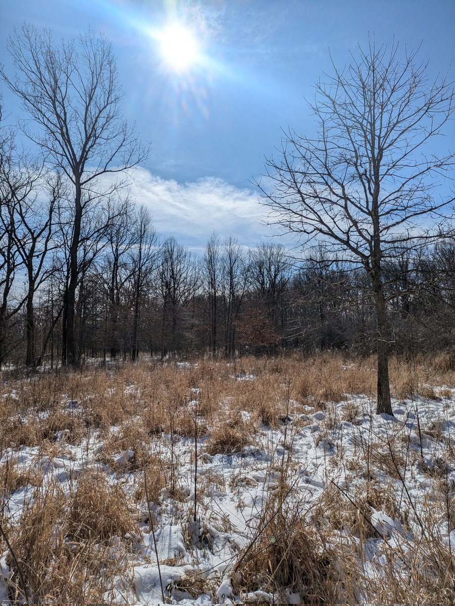 JohnHB84's tweet photo. Not quite the same exact location Little too much spring flooding to get to it. February 18th March 25th April 21st https://t.co/so8iIUszCD