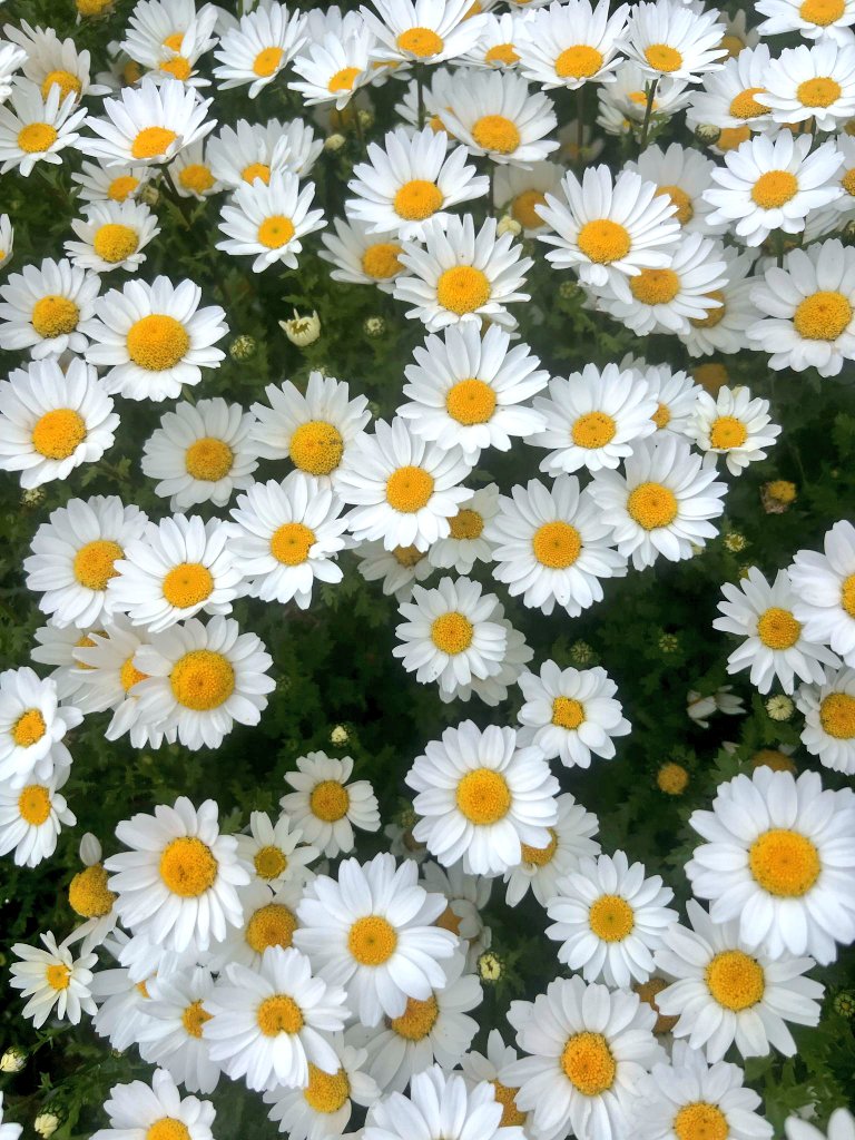 Artık hiçbir şeyi kişisel algılamıyorum. Çünkü insan ancak içinde ne varsa onu verir..