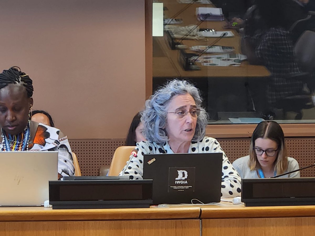 📢 The IN side-event at the #UNPFII successfully convened experts, advocates, and Indigenous leaders.

The discussion provided a critical platform for sharing lived experiences, data-driven insights, and reflections on the challenges Indigenous Peoples face.

#WeAreIndigenous