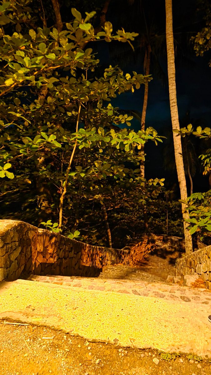 หาดลับ มีน้อง🐕💦 มั้ยน่า แถวนี้ 
#แนวน้องBOBO