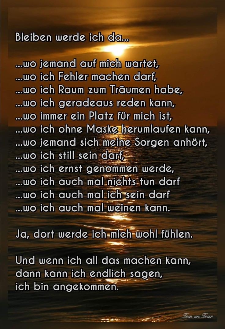 Ich wünsche euch eine Wundervolle gute Nacht 🌟🌛⭐
Bleibt Liebevoll 🫶🙏
Wundervolle Reise ins Traumland 🙏🫶🙏❣️