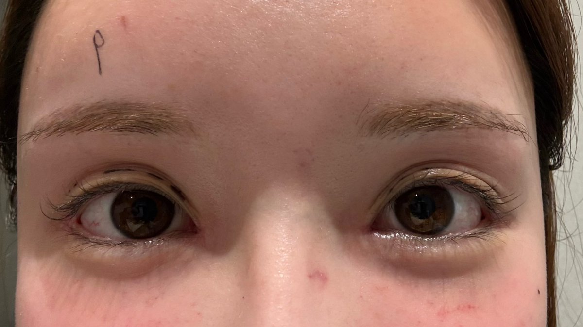 アーノルド・シュワルツゴリみん🦍 tweet media