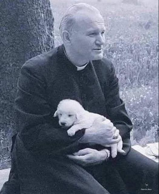 MariaRo85819362's tweet image. &quot;Amar gli animali è un privilegio delle anime buone&quot;, 
~ Giovanni Paolo II ♥