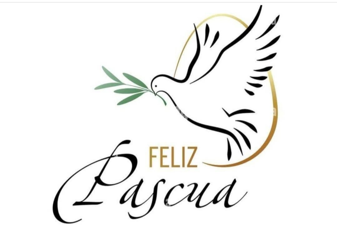 🙏🌷🌷🌷