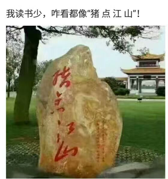 谢万军 tweet media