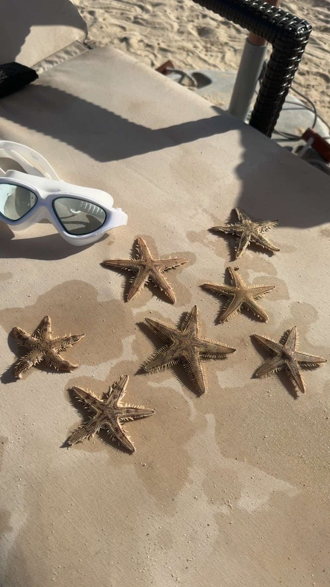 r3_99's tweet photo. #beachlife https://t.co/hqF4HROLoN