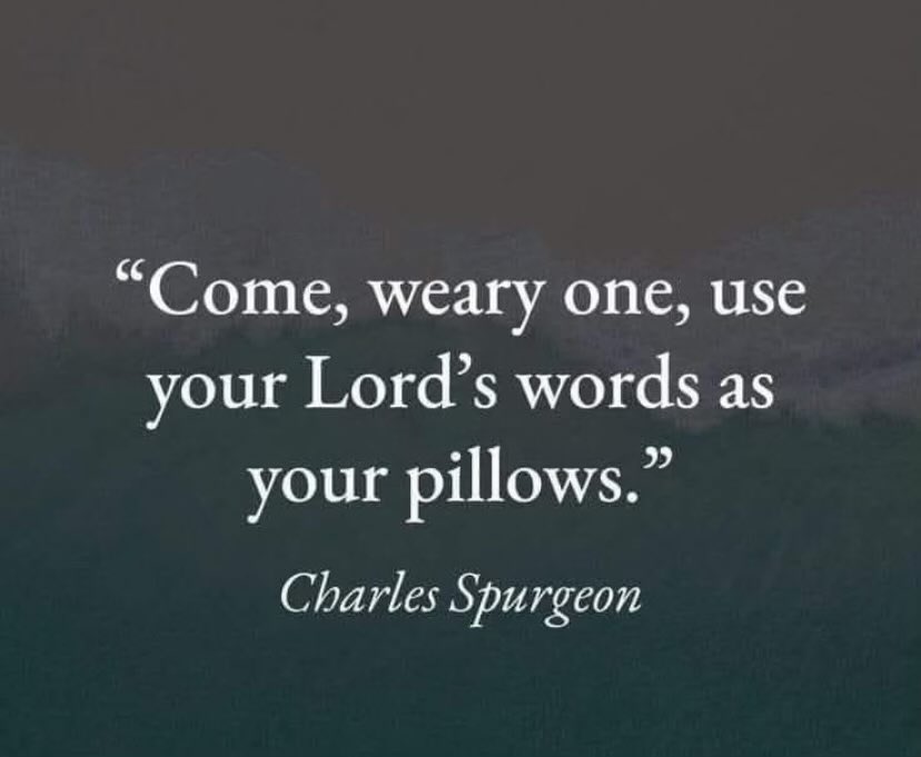 Sir_Charlsss Unchained! (@sir_charlsss) on Twitter photo Come, weary one …
✝️2137✝️ <a href="/mombelieves/">MomBelieves</a>
<a href="/soli_Jesum/">Charles Johnson 🇺🇸⚓️</a>
<a href="/ReHeitmann/">Re</a>
<a href="/AgainstSlothra/">AgainstSlothra</a>
<a href="/tongamp_g/">Rbuds🇵🇬🏝</a>
<a href="/JBillLevy/">Jumpin' Bill</a>
<a href="/RaptureReady25/">SolaScripturaSolaEdna</a>
<a href="/DawnDawnEve/">DawnDawnEve</a>
<a href="/GilbertWanda/">Wanda Gilbert🔥</a>
<a href="/MysticArrow8/">🔥•𝓜𝔂𝓼𝓽𝓲𝓬 𝓐𝓻𝓻𝓸𝔀 ➶</a>
<a href="/DLWeat/">Dana 🇺🇸🇮🇱</a>
✝️🙏🏻✝️🙏🏻✝️🙏🏻✝️
<a href="/bitternesstojoy/">Bitternesstojoy</a>
<a href="/BiologicalWoma2/">Hi, I'm KellyJo 🙋🏽♀️🇺🇸</a>
<a href="/AmericaCra75847/">Craving4America</a>
<a href="/LR2552/">Lance in Texas</a>
<a href="/RL9631/">Renata</a>
<a href="/1cor127/">Stacy Popish</a>
<a href="/ricphy2/">ricphy</a> Come, weary one …
✝️2137✝️ <a href="/mombelieves/">MomBelieves</a>
<a href="/soli_Jesum/">Charles Johnson 🇺🇸⚓️</a>
<a href="/ReHeitmann/">Re</a>
<a href="/AgainstSlothra/">AgainstSlothra</a>
<a href="/tongamp_g/">Rbuds🇵🇬🏝</a>
<a href="/JBillLevy/">Jumpin' Bill</a>
<a href="/RaptureReady25/">SolaScripturaSolaEdna</a>
<a href="/DawnDawnEve/">DawnDawnEve</a>
<a href="/GilbertWanda/">Wanda Gilbert🔥</a>
<a href="/MysticArrow8/">🔥•𝓜𝔂𝓼𝓽𝓲𝓬 𝓐𝓻𝓻𝓸𝔀 ➶</a>
<a href="/DLWeat/">Dana 🇺🇸🇮🇱</a>
✝️🙏🏻✝️🙏🏻✝️🙏🏻✝️
<a href="/bitternesstojoy/">Bitternesstojoy</a>
<a href="/BiologicalWoma2/">Hi, I'm KellyJo 🙋🏽♀️🇺🇸</a>
<a href="/AmericaCra75847/">Craving4America</a>
<a href="/LR2552/">Lance in Texas</a>
<a href="/RL9631/">Renata</a>
<a href="/1cor127/">Stacy Popish</a>
<a href="/ricphy2/">ricphy</a>