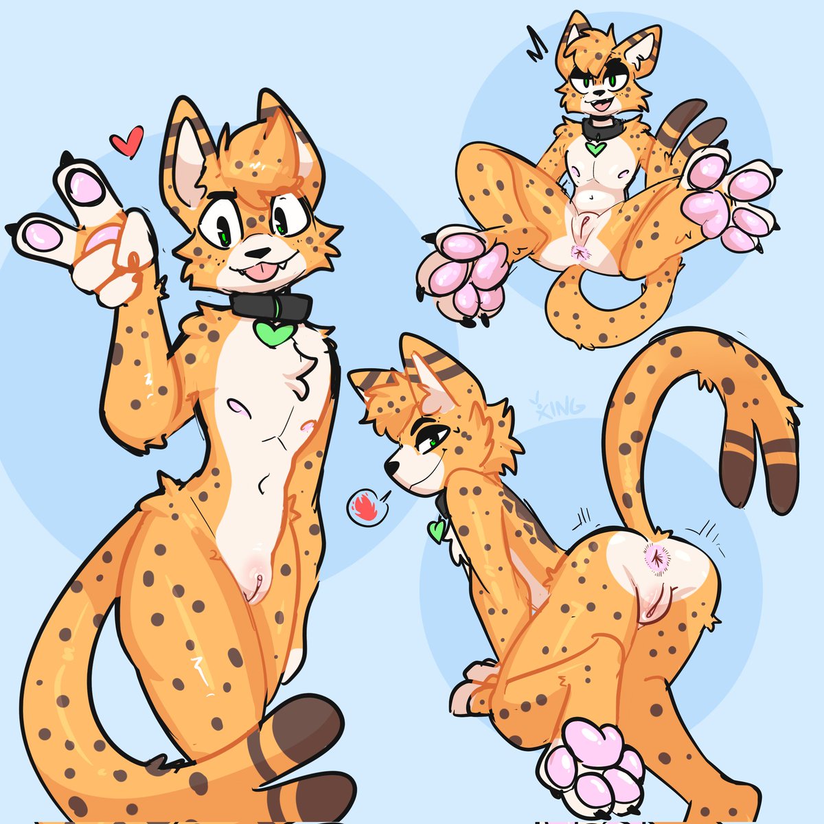 Leo the Cosmic Serval🔞🇮🇹 tweet media